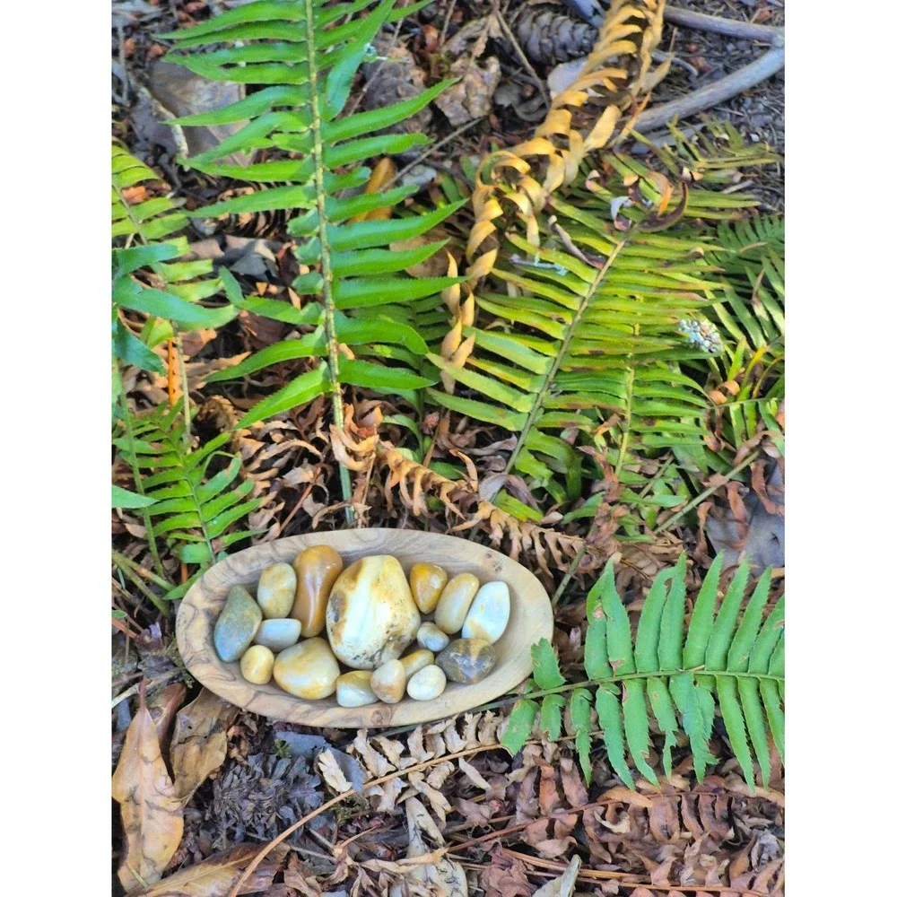 Handcrafted Rustic Olive Wood Oval Bowl w/ PNW Carnelian Agates & Yellow Jasper